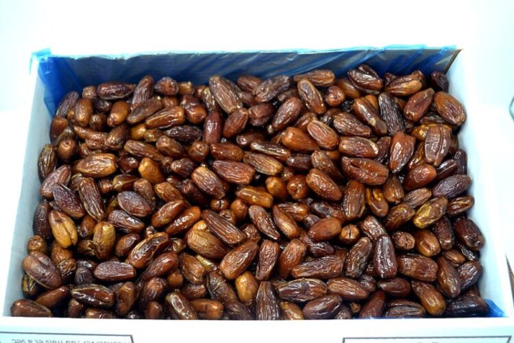 Deglet Nour Dates Organic 10kg