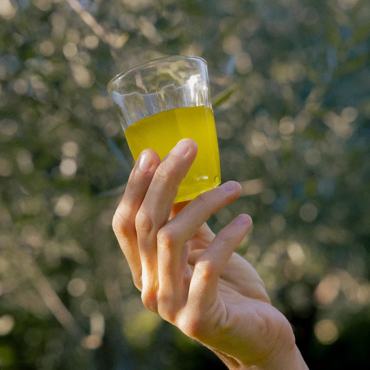 Honest Toil Olive Oil 2 Litre