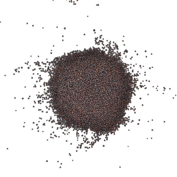 Mustard Seeds Black
