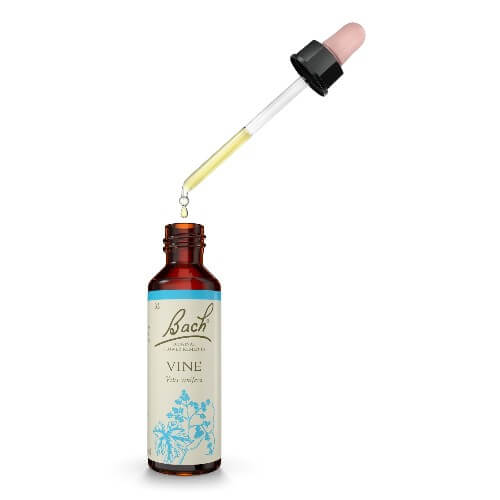 Vine Bach Flower Remedy 20ml