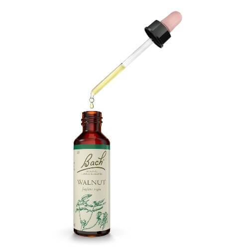 Walnut Bach Flower Remedy 20ml