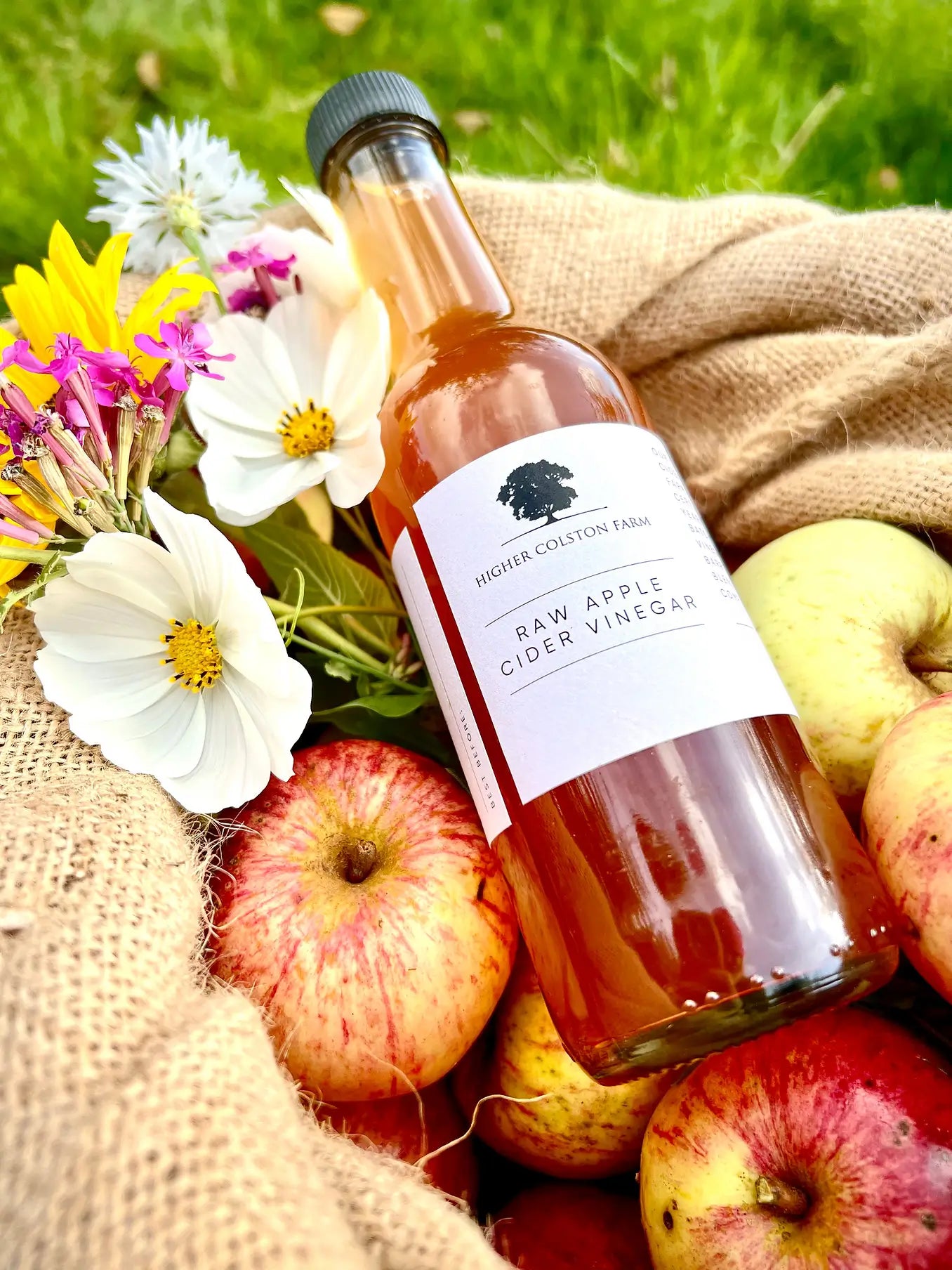 Raw Apple Cider Vinegar - Higher Colston Farm