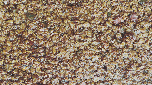 seeded-flapjack-ganesha-wholefoods