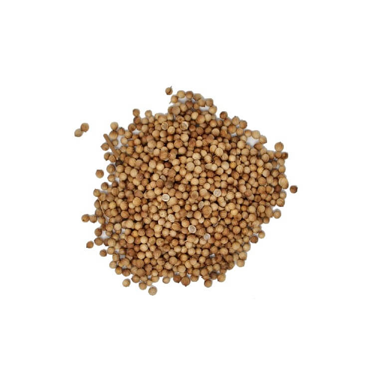 Coriander Seeds