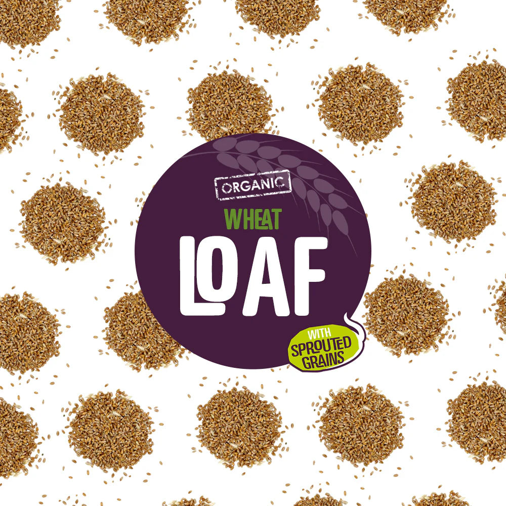 Everfresh organic wheat loaf label with sprouted grains on a white background.