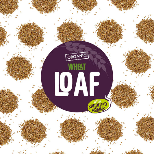 Everfresh organic wheat loaf label with sprouted grains on a white background.
