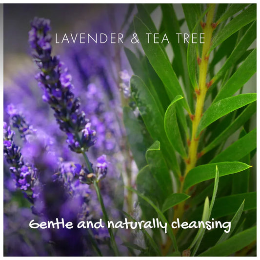 Lavender flowers and tea tree leaves with text overlay on a blurred natural background