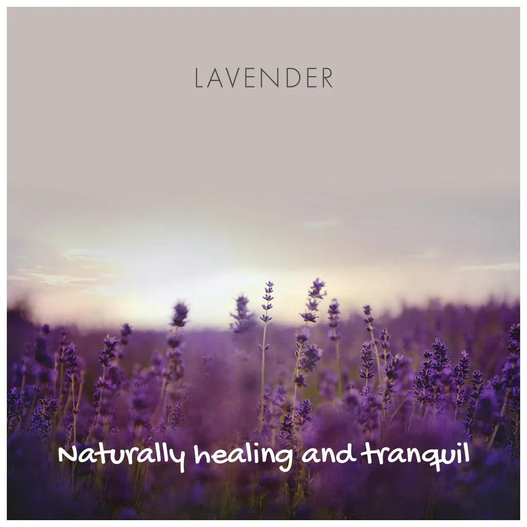 Lavender field with a soft, pastel sky and text 'LAVENDER Naturally healing and tranquil'.
