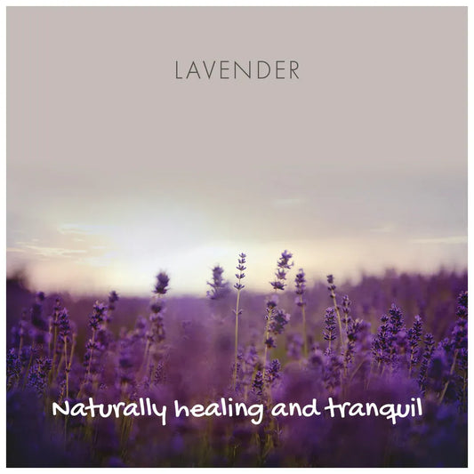 Lavender field with a soft, pastel sky and text 'LAVENDER Naturally healing and tranquil'.