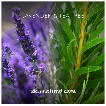 Lavender flowers and tea tree leaves with text 'LAVENDER & TEA TREE' and 'Rich natural care'.
