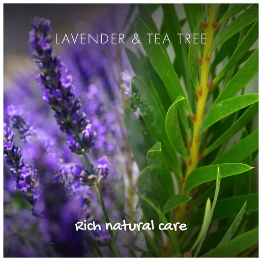 Lavender flowers and tea tree leaves with text 'LAVENDER & TEA TREE' and 'Rich natural care'.