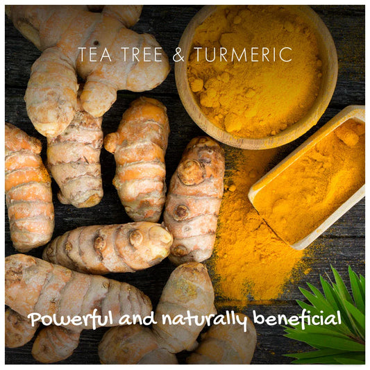 Tea tree and turmeric roots with powdered turmeric on a dark surface.