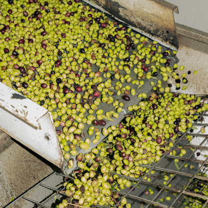 Honest Toil Oil 3 Litre