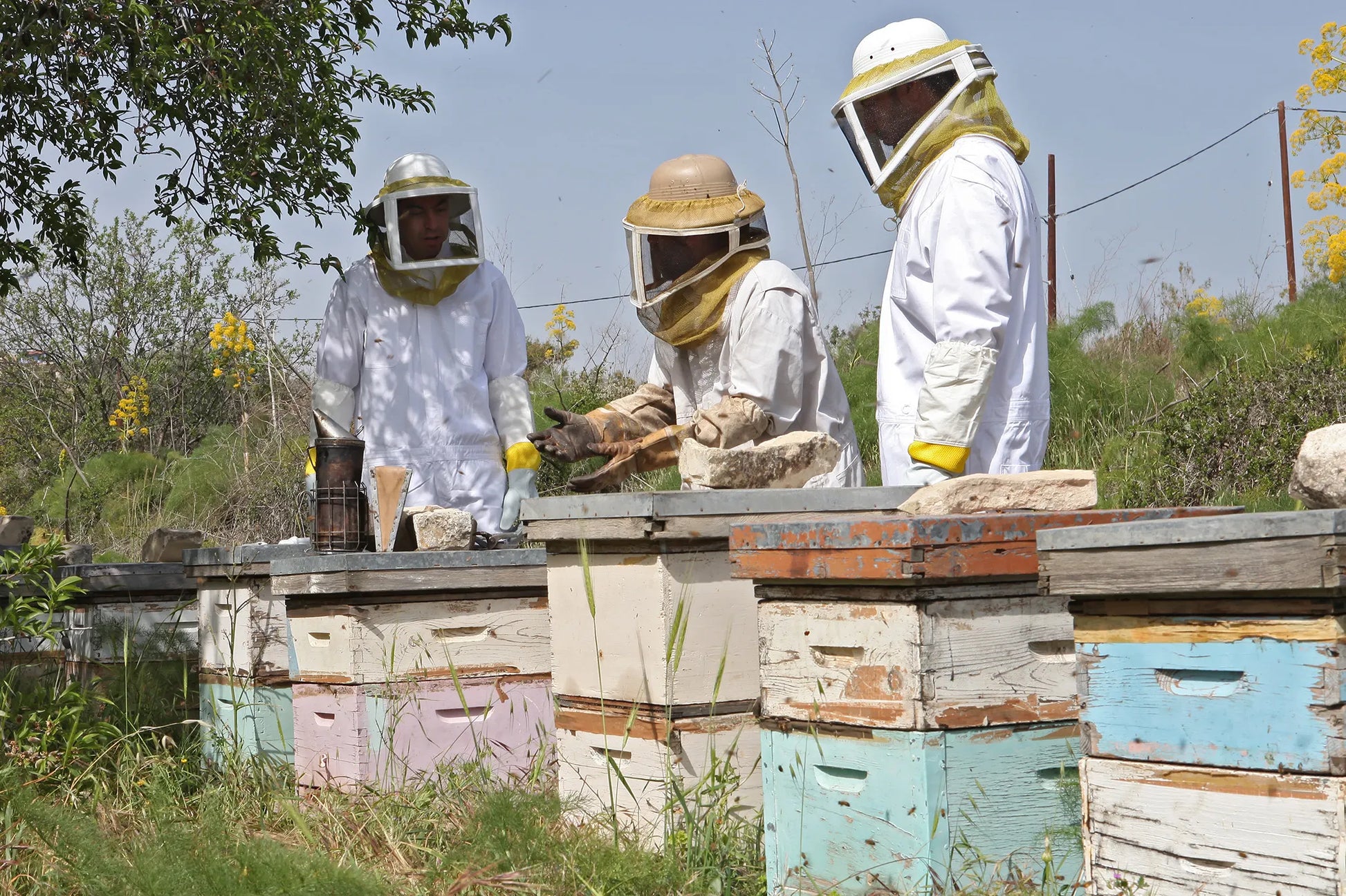 The Mellona Honey Beehives in Cyprus