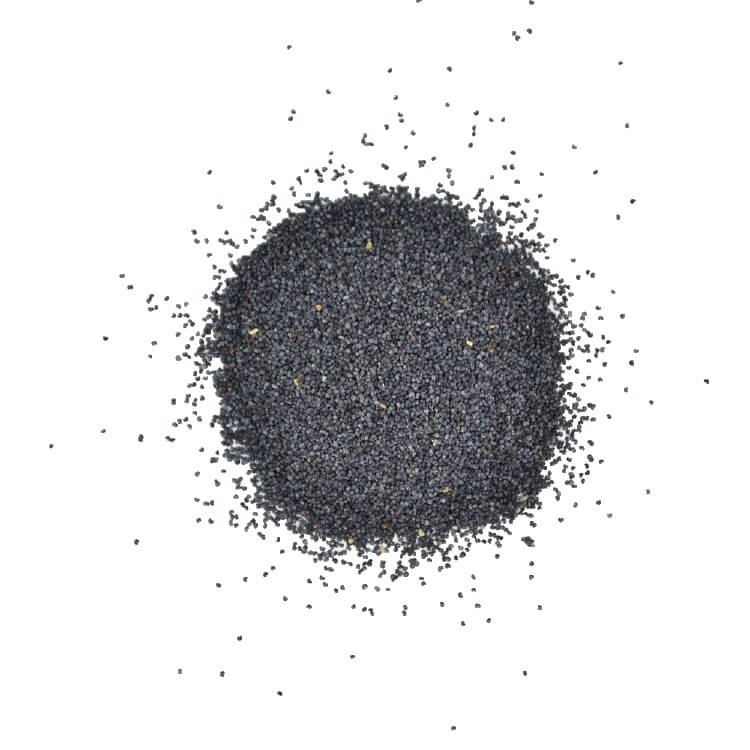 Poppy Seeds