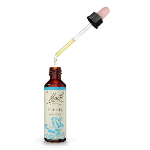 Beech Bach Flower Remedy 20ml