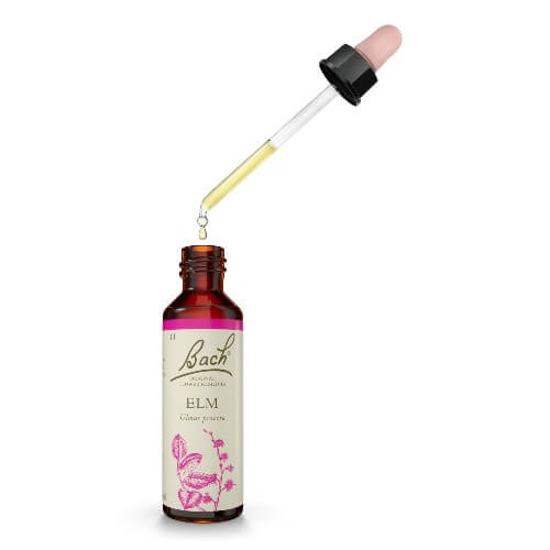 Elm Bach Flower Remedy 20ml