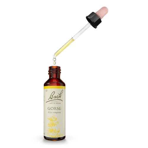 Gorse Bach Flower Remedy 20ml