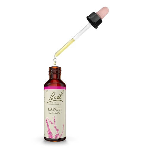 Larch Bach Flower Remedy 20ml