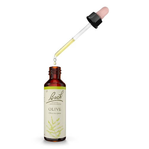 Olive Bach Flower Remedy 20ml