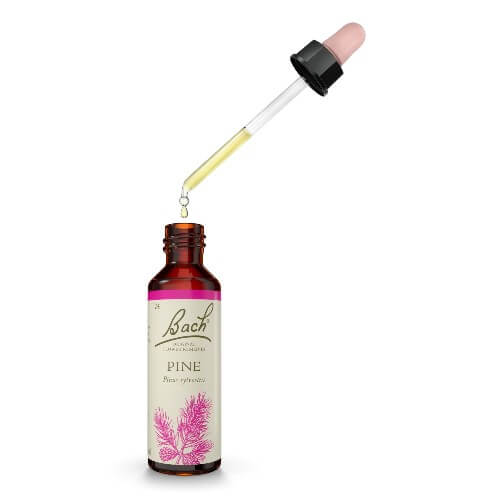 Pine Bach Flower Remedy 20ml
