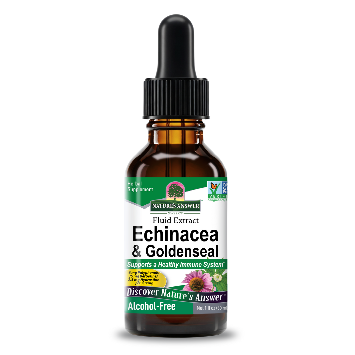 Nature's Answer Echinacea and Goldenseal alcohol-free extract 30ml bottle front